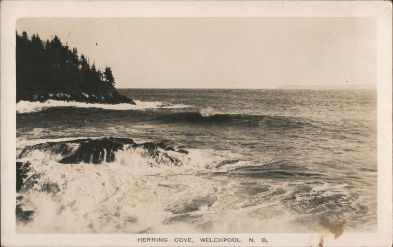 Herring Cove, Ocean Waves & Rocky Shore Welchpool NB Canada