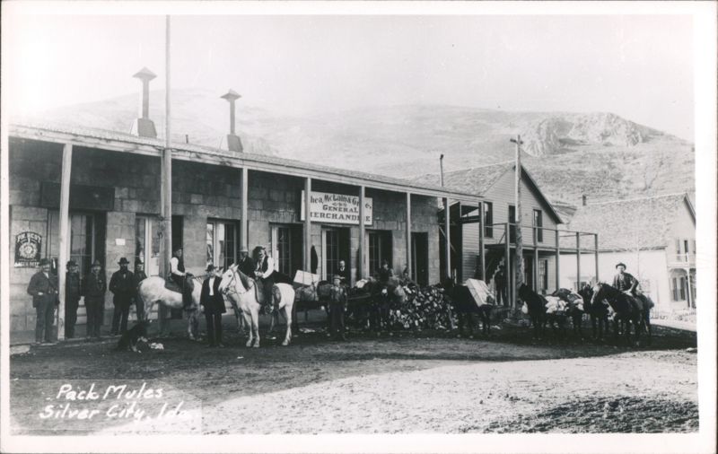 Pack Mules, McLand & Co. General Merchandise