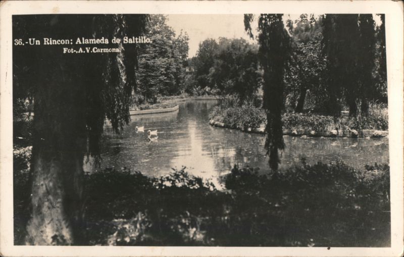 Un Rincon: Alameda de Saltillo