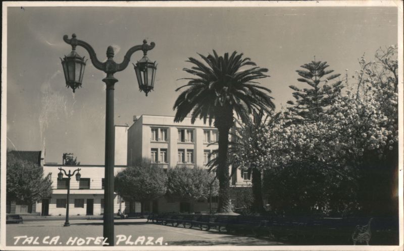 Talca Hotel Plaza, Street Lamp, Palm Tree
