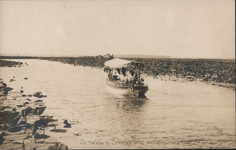 Boat Trip to Shorty's Place, Lotus Bed, Grass Lake