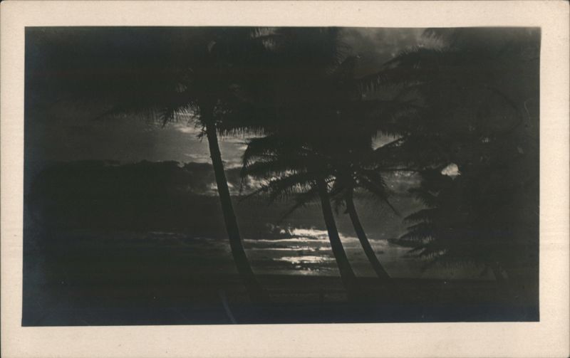 Palm Trees Silhouetted Against Moonlit Tropical Sky Hawaii