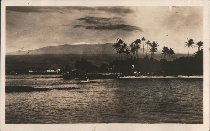 Coastal scene with palm trees, boats, and snow-capped mountain