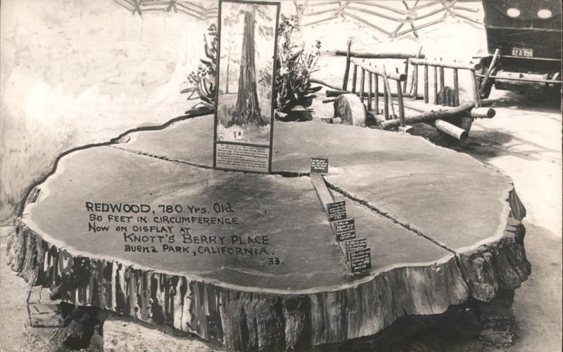 Redwood Tree Stump, Knott's Berry Place Buena Park California