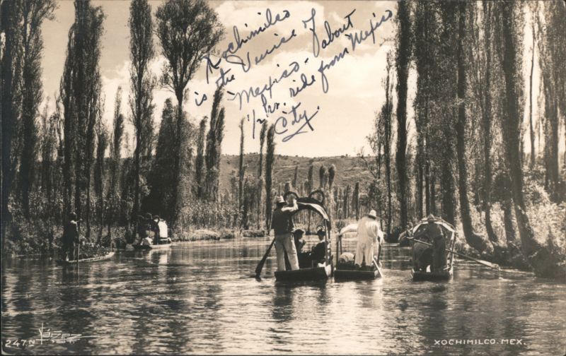 Xochimilco Canals with Boats and Cypress Trees