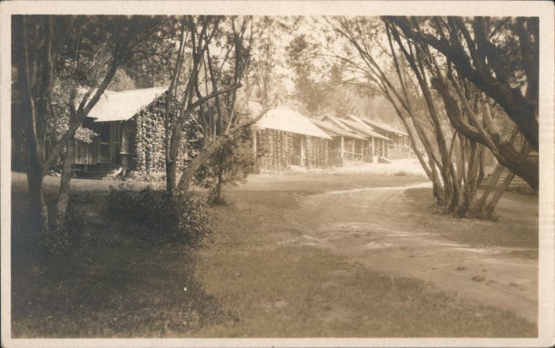 Rustic Cabins in Wooded Area along Dirt Path