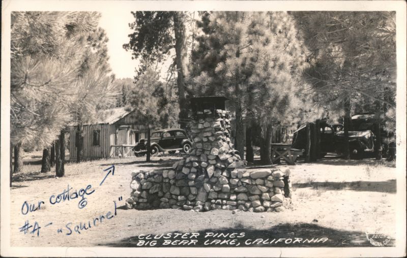 Cluster Pines Cottage #A - Squirrel Big Bear Lake California