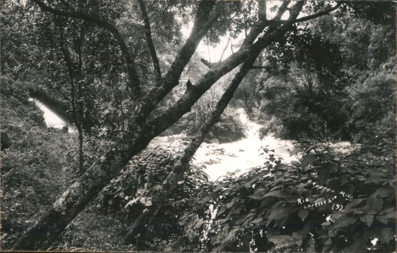 Uruapan, Michoacán, Rio Cupatitzio