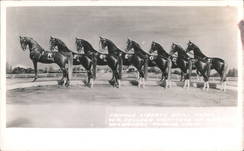 Famous Liberty Drill Team, W.K. Kellogg Institute Pomona California