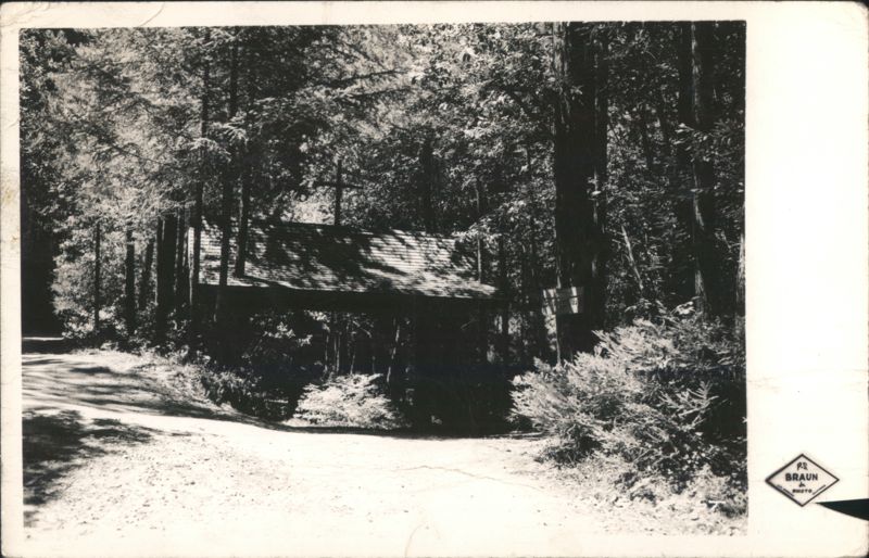 Camp Meeker Country Building in Forest