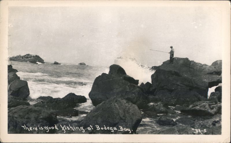 Man Fishing, Good Fishing at Bodega Bay California