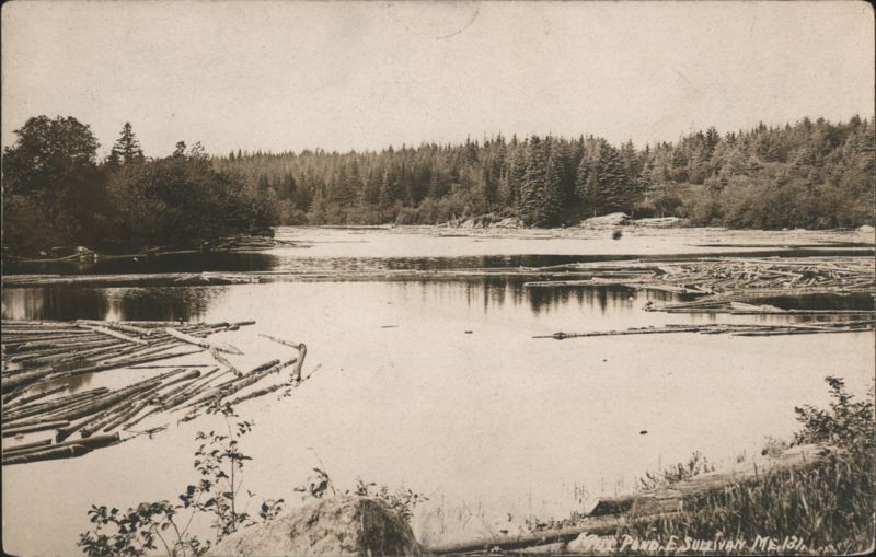 Logs on Pond E, Sullivan, ME Maine