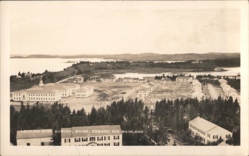 Looking Over Quoddy, Maine, Toward the Mainland