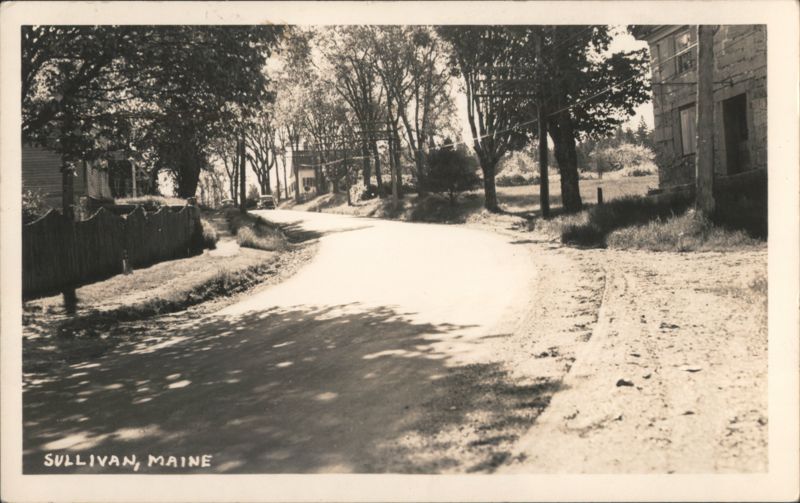 Sullivan, Maine Street Scene with Trees and Houses