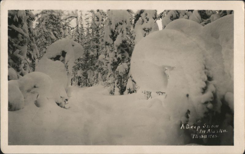 Deep Snow in Alaska Forest - Thwaites