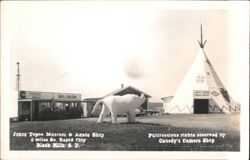 Jones Tepee Museum, Agate Shop, World's Largest Tepee, Elephant Postcard