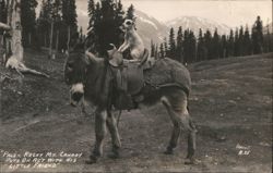 Pals - Rocky Mt. Canary Puts on Act with His Little Friend Postcard