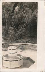 Tiled Octagonal Mineral Spring Fountain in Wooded Area Postcard