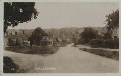 Sedlescombe Village Road Fork, Houses, Trees Postcard