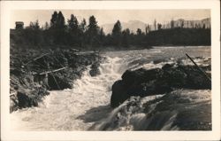 Spearing Salmon near Smithers, BC Postcard