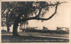 Cannons on The Ramparts overlooking Harbour, Quebec Postcard