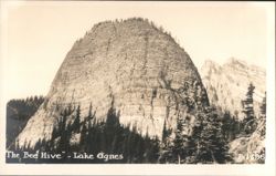 Stock #1186995 Thumbnail