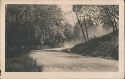 Road Scene, Calistoga Postcard