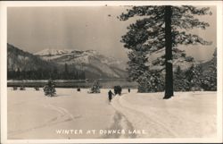 Winter at Donner Lake Postcard
