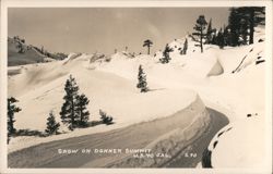Snow on Donner Summit, US 40 Postcard