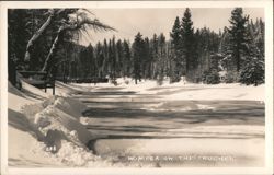 Winter on the Truckee Postcard