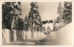 Snow Time - Road through snowy forest Postcard