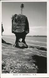 Rocks at Hopewell, New Brunswick Postcard