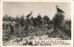 Hugh Park Quail Hunting, Van Buren, Arkansas Postcard