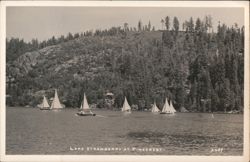 Lake Strawberry at Pinecrest with Sailboats Postcard