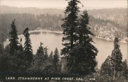Lake Strawberry at Pine Crest Postcard
