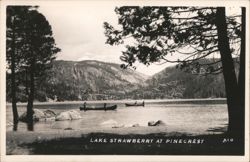 Lake Strawberry at Pinecrest, CA with Canoes Postcard