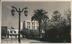 Talca Hotel Plaza, Street Lamp, Palm Tree Postcard