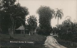 Botanical Garden K. Lumpur Postcard