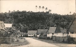 Street Scene with Thatched Houses & Palm Trees Postcard
