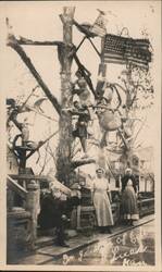 Dinsmoor's Garden of Eden Folk Art Sculpture, Lucas, KS Postcard