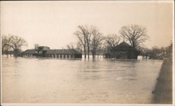 The Great Flood - Submerged Buildings and Trees Postcard