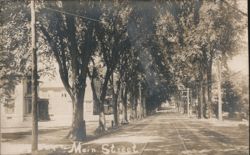Main Street, Tree-Lined with Trolley Tracks Postcard