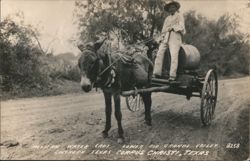 Stock #1187525 Thumbnail