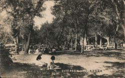 City Park, Valley City Postcard