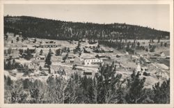 Ward, Colorado Town View Postcard