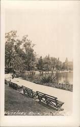 Westlake Park Mid Winter, Lake View with Benches Postcard