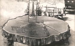 Redwood Tree Stump, Knott's Berry Place Postcard