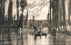 Xochimilco Canals with Boats and Cypress Trees Postcard