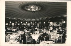 Casino Terrace, Santa Catalina Postcard