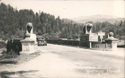 Douglass Bridge, Bear Statues, Klamath River Postcard